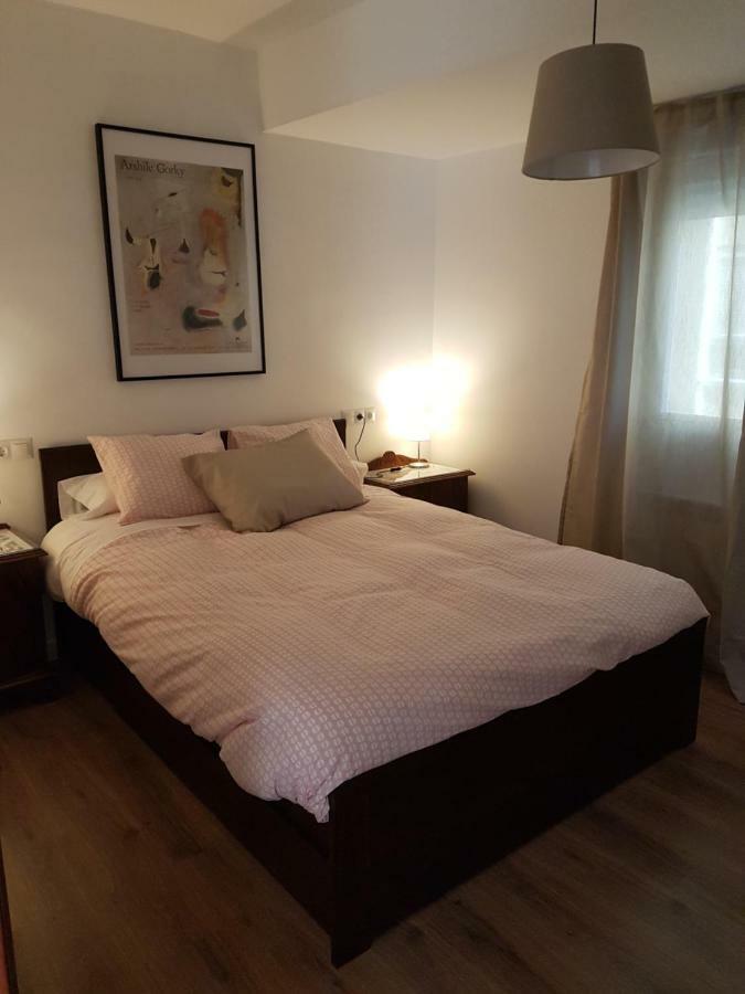 شقة غرناطة  في Apartamento Del Pintor | Santiago المظهر الخارجي الصورة